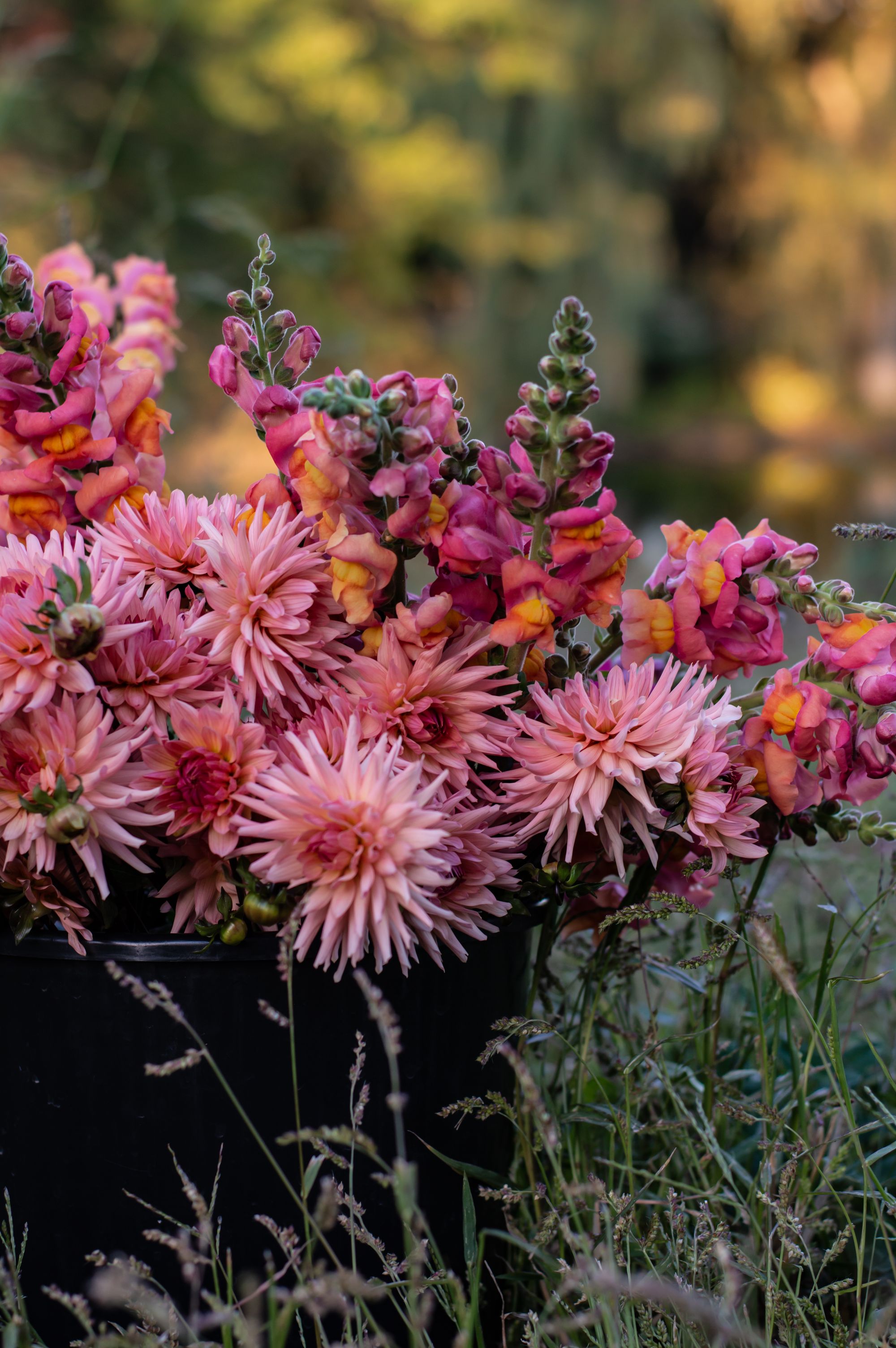 ECO-CONSCIOUS FLORAL DESIGN WITH TWIN DAHLIAS