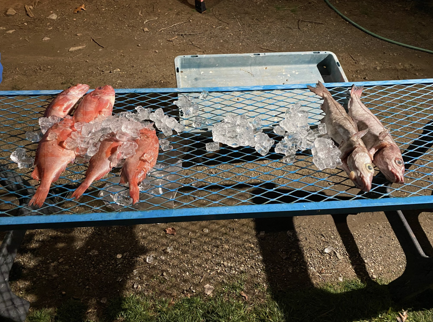 Food Security and Community in Gloucester, MA